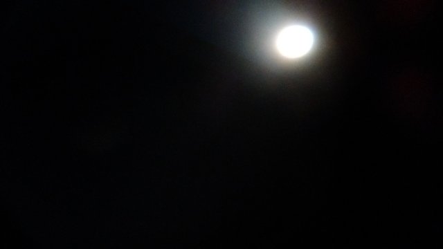 IMG_20180926_063902394wh.jpg