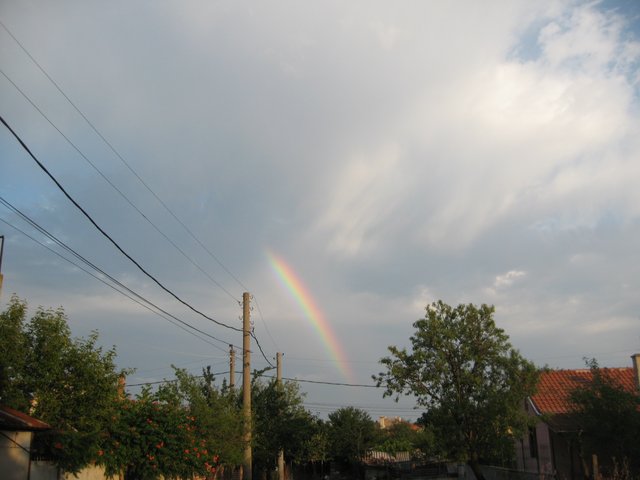 IMG_9977.JPG