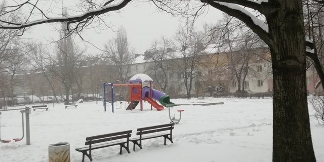 IMG_20181220_085204.jpg