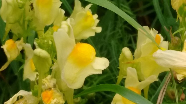 IMG_20180728_171148063w.jpg