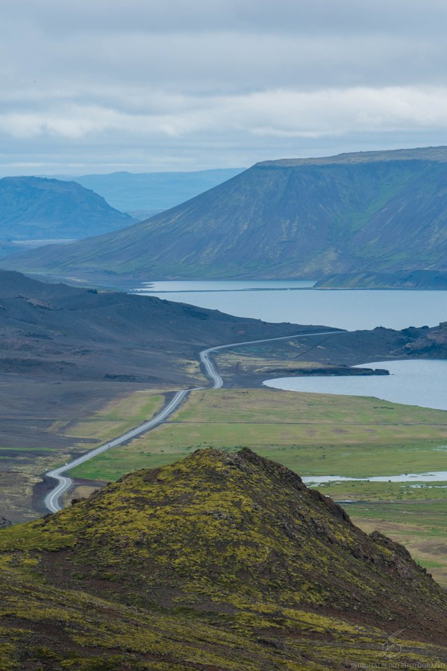 DSC_0058.jpg