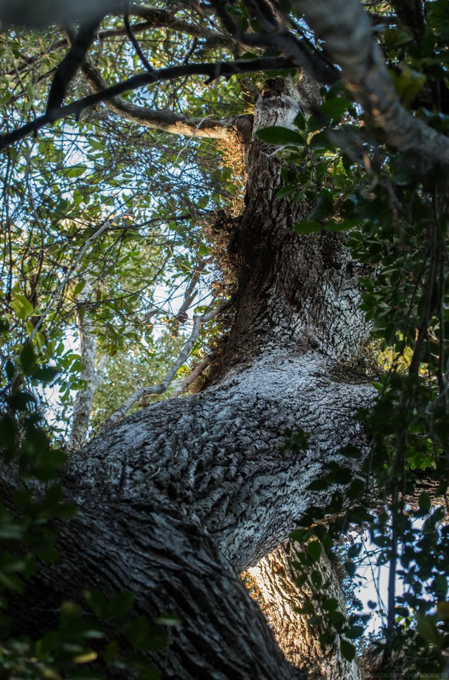 DSC_0324.jpg