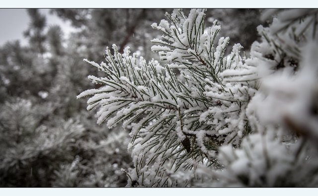 24955281375wintertime FILEminimizer.jpg