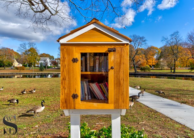 1 1 Upper Duck Pond.jpg
