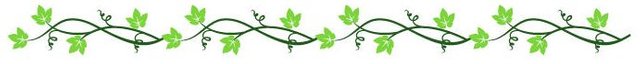 Vector Set of Floral Divider.jpg