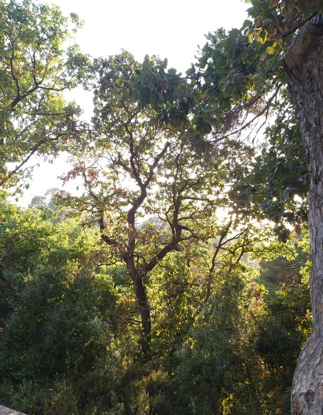20190927_205254.jpg