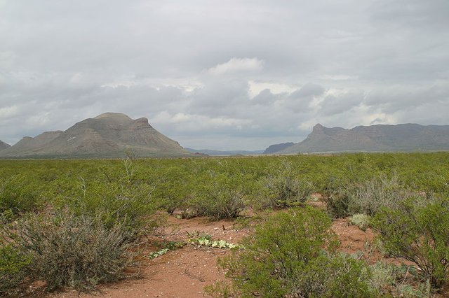 800pxVanHornTX_2008.jpg