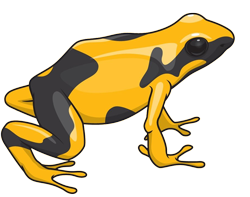frog