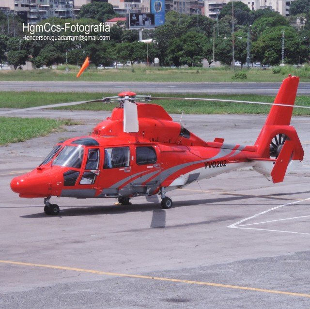 DAUPHIN-SVFM1