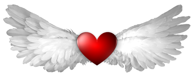 Angel wings with Heart
