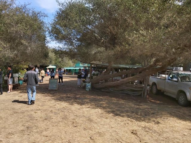 20190921-114043.jpg