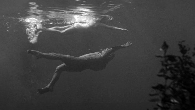 (source: tmdb.org)