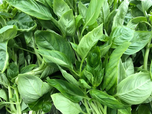 Fruits%20and%20Veggies%20for%20Alphabet%20Hunt%20-%20June%202020%20250.jpg