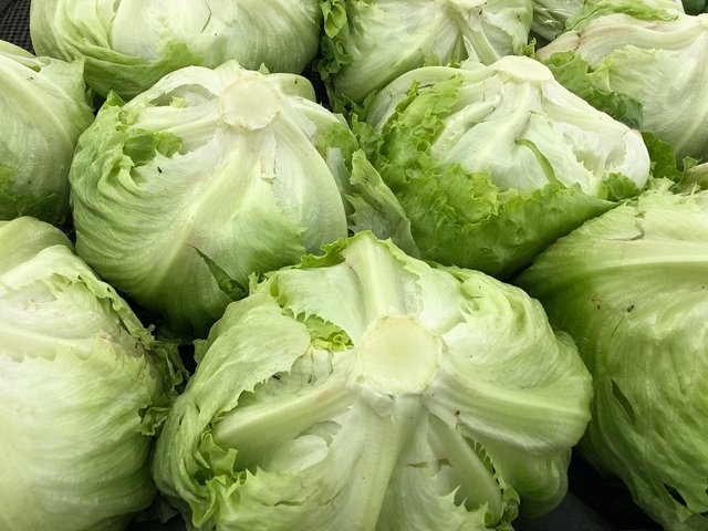 Fruits%20and%20Veggies%20for%20Alphabet%20Hunt%20-%20June%202020%20252.jpg