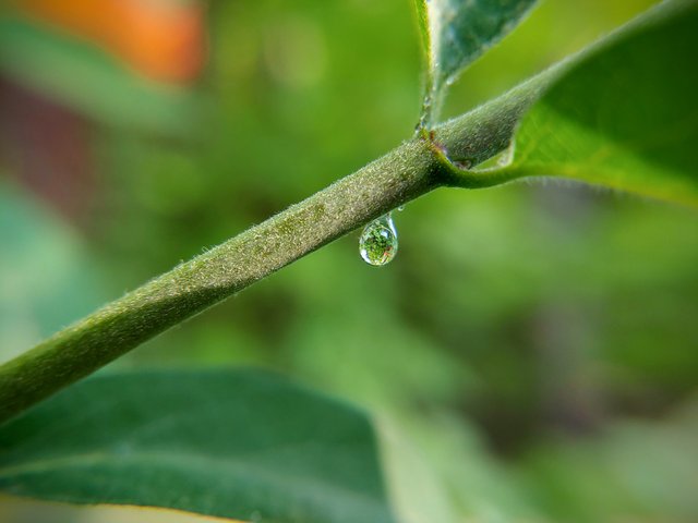 20200525_174545~2.jpg
