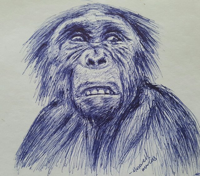 p12.jpg