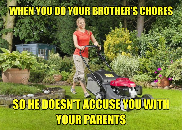 olo2.jpg