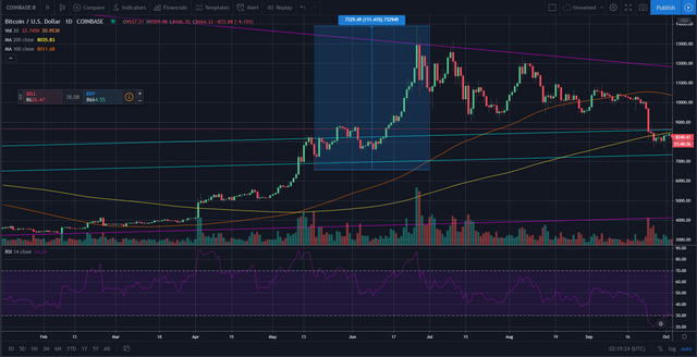 BTC daily chart. Focusing on 17th May 2019