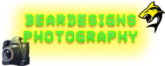 14.png