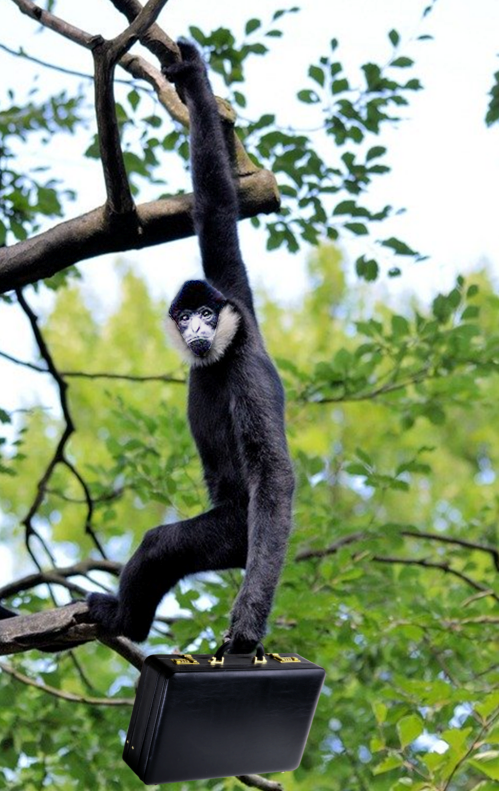 Primate2.png