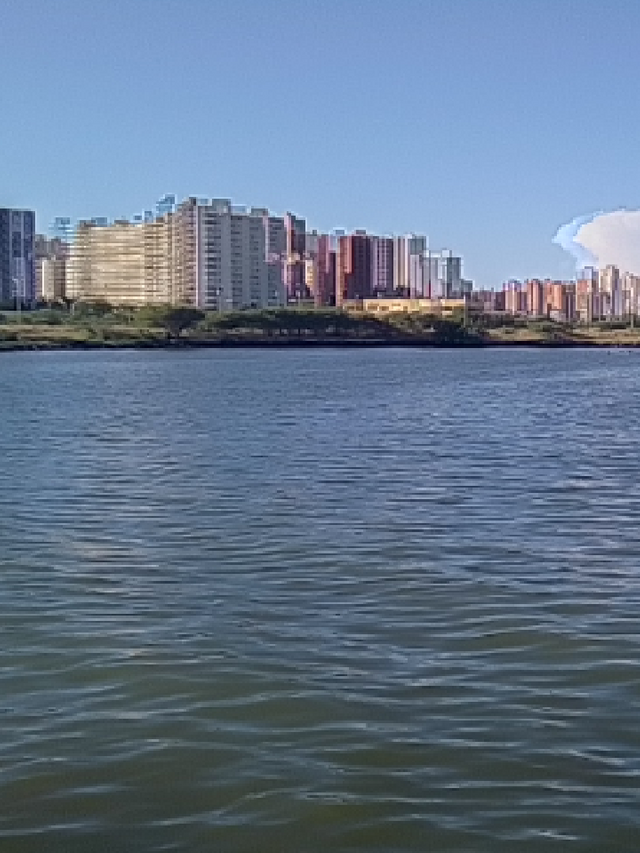 1589506533672.png