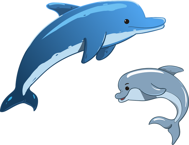 dolphin-3321762_1280.png