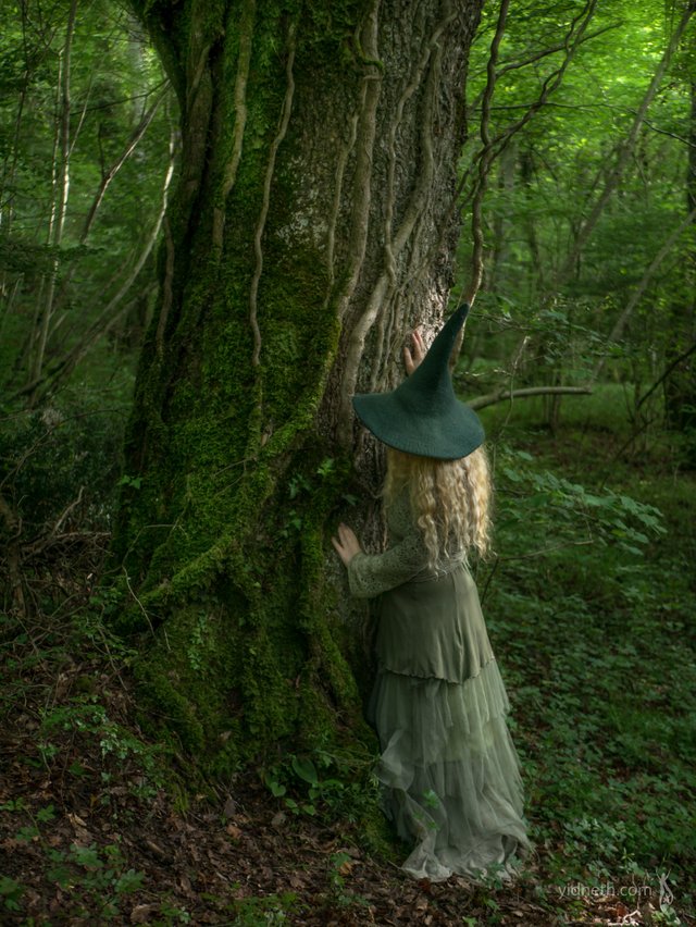 witch  in the woods.jpg
