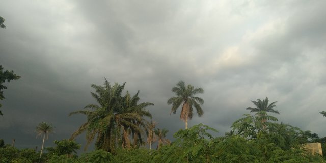 p4.jpg