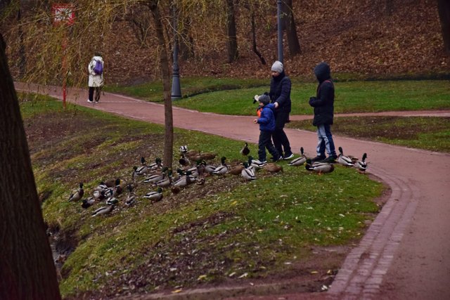 oyjbon.jpg