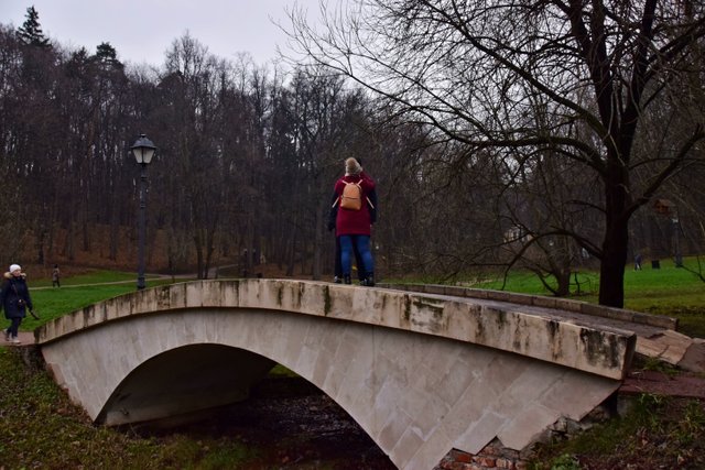 rx1c15.jpg