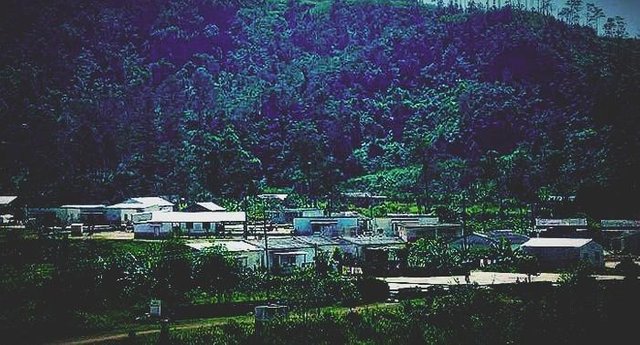 87td2wc53t.jpg