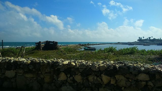 p6.jpg