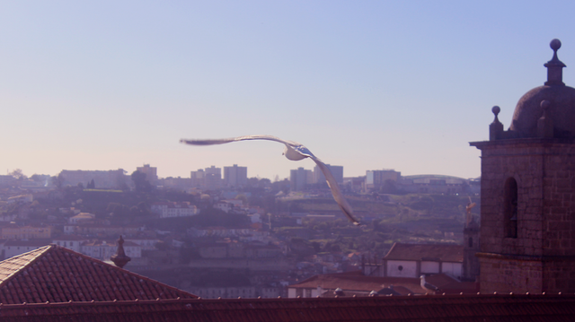 onboarding%2F20200116T134529156Z-0016.png