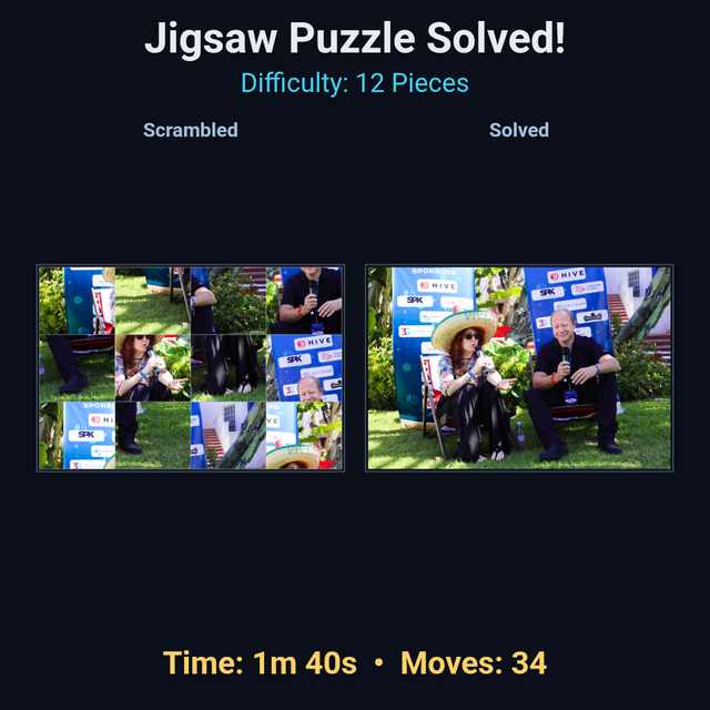 Jigsaw Puzzle Recap