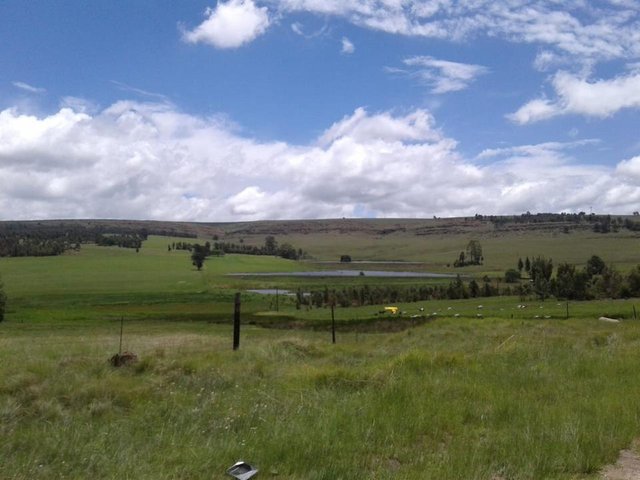 IMG-20191211-WA0112.jpg