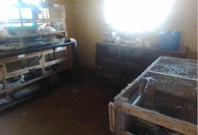 Another set of hutches.jpg