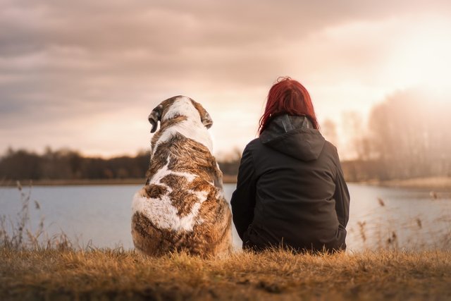Dog and owner