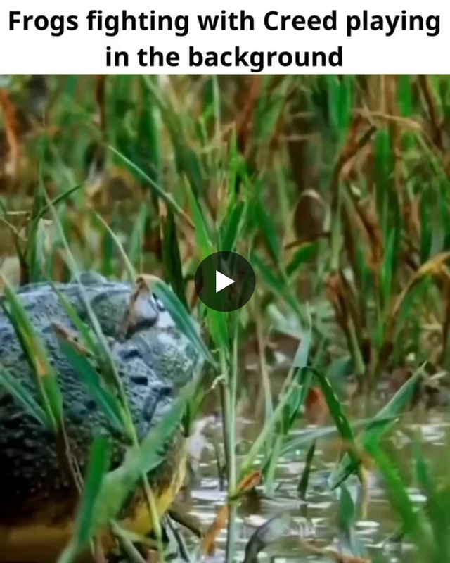 X post