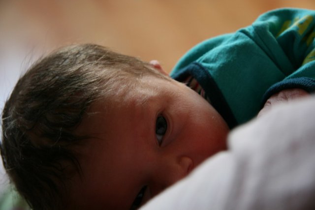 IMG_4546_resize