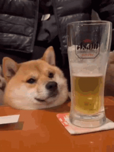 untitled.gif