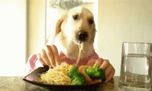 untitled.gif