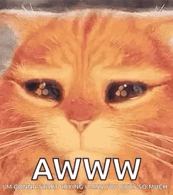 untitled.gif