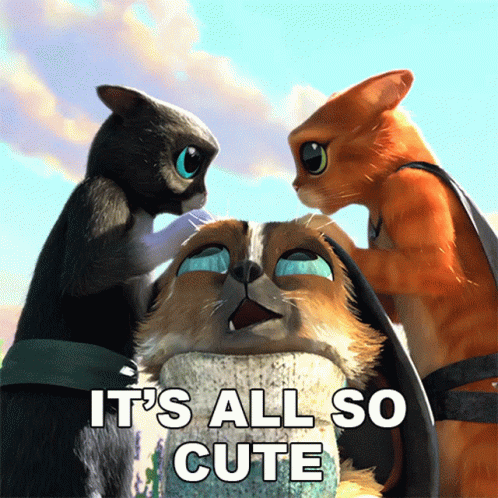 untitled.gif