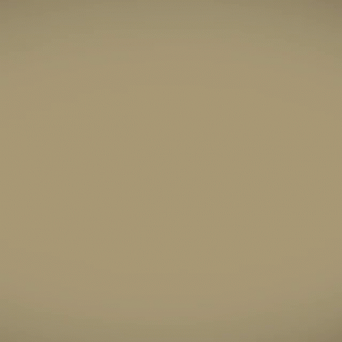 untitled.gif