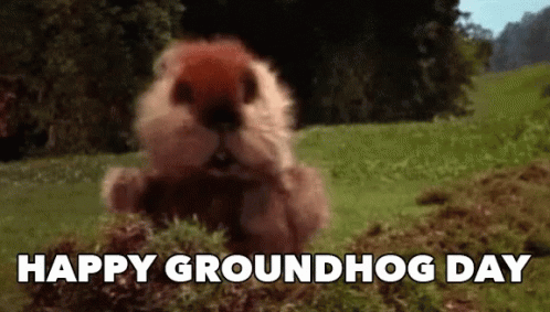 untitled.gif