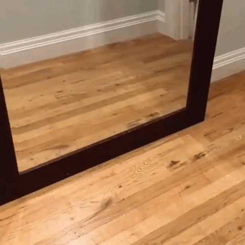 untitled.gif