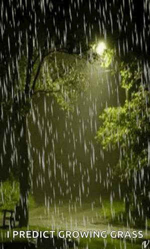 untitled.gif