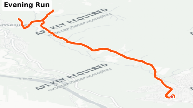 MAPS.PNG