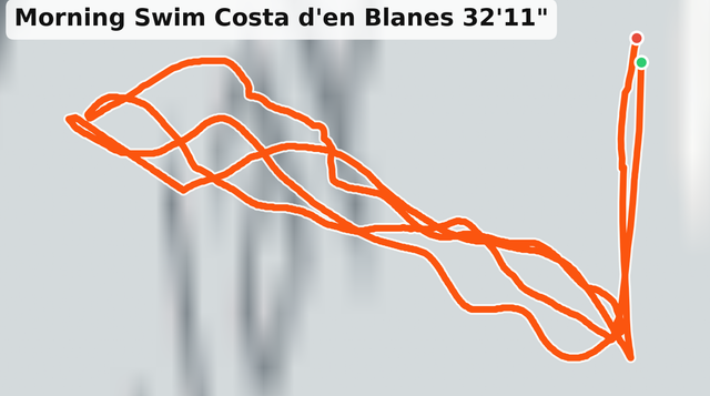 MAPS.PNG