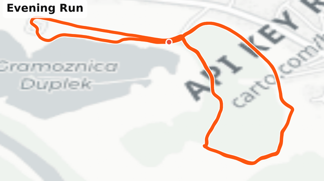 MAPS.PNG